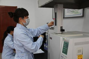 承德市多措并舉推進農產品綜合利用技術開發，賦能農業綠色轉型與產業升級